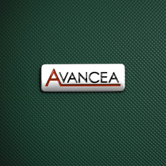 Cestovní kufr AVANCEA DE2966 Dark Green L (8)